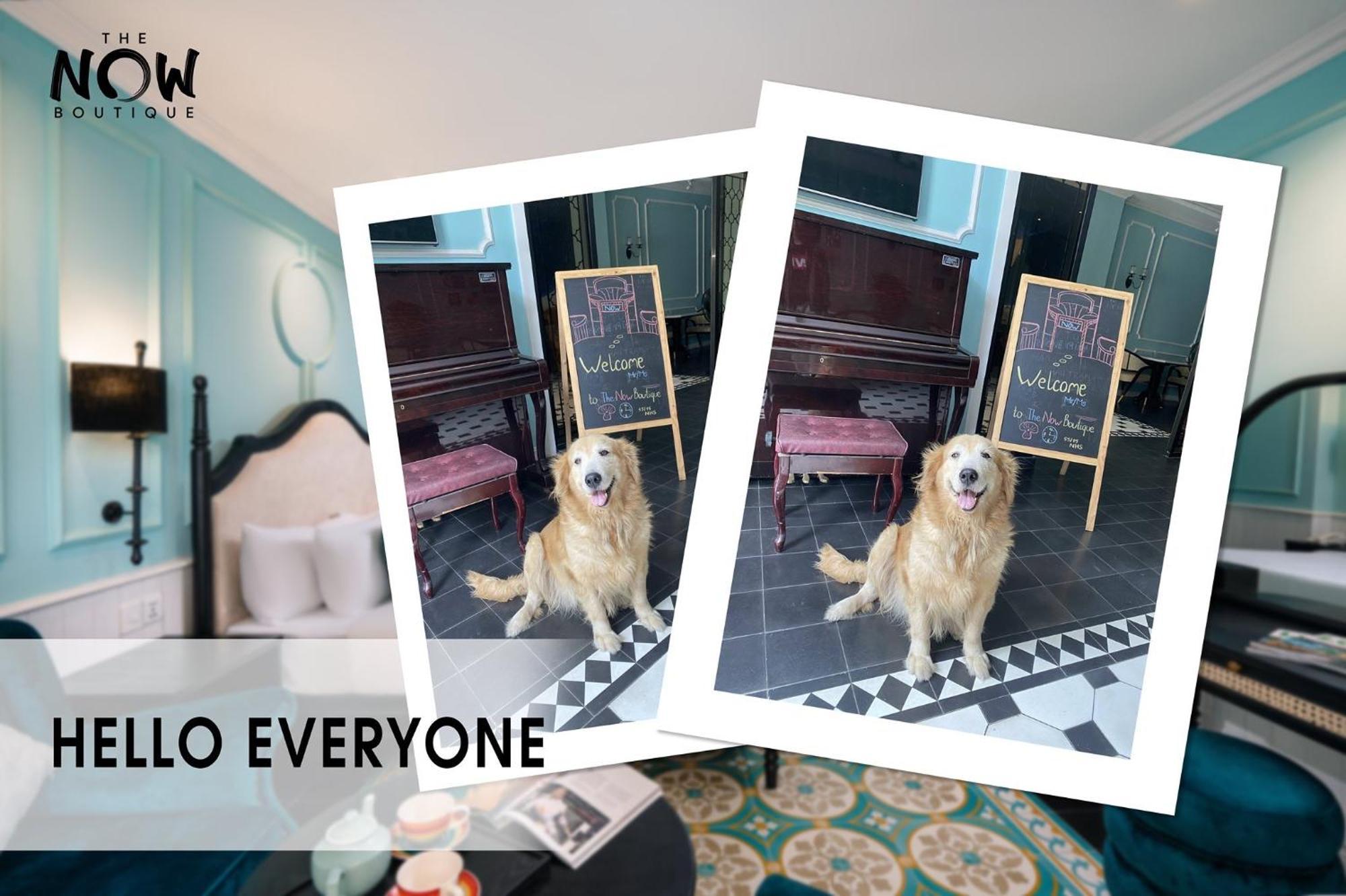 The Now Boutique Hotel & Apartment Da Nang Eksteriør billede